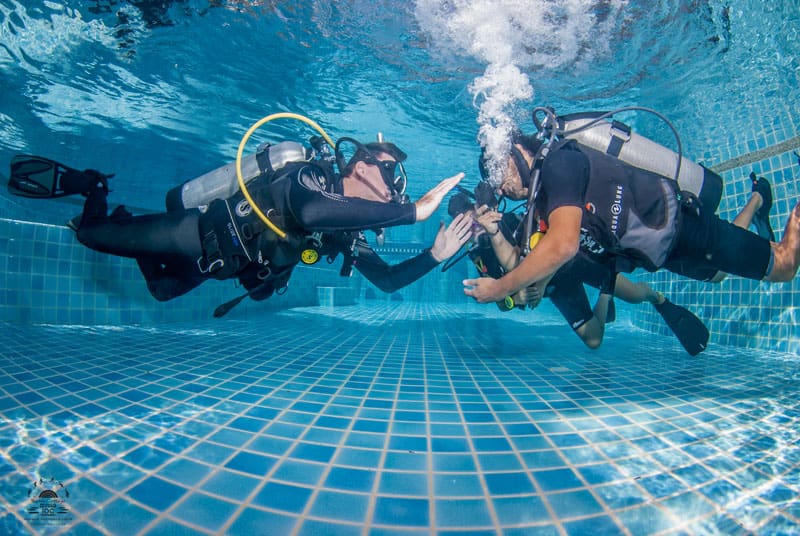 PADI Reactivate Course