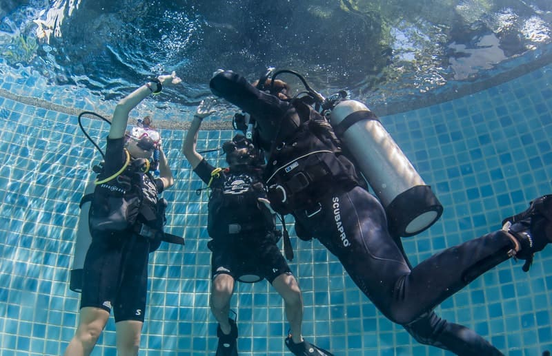 5 point ascent PADI Open Water Diver Manual Answers Chapter 2