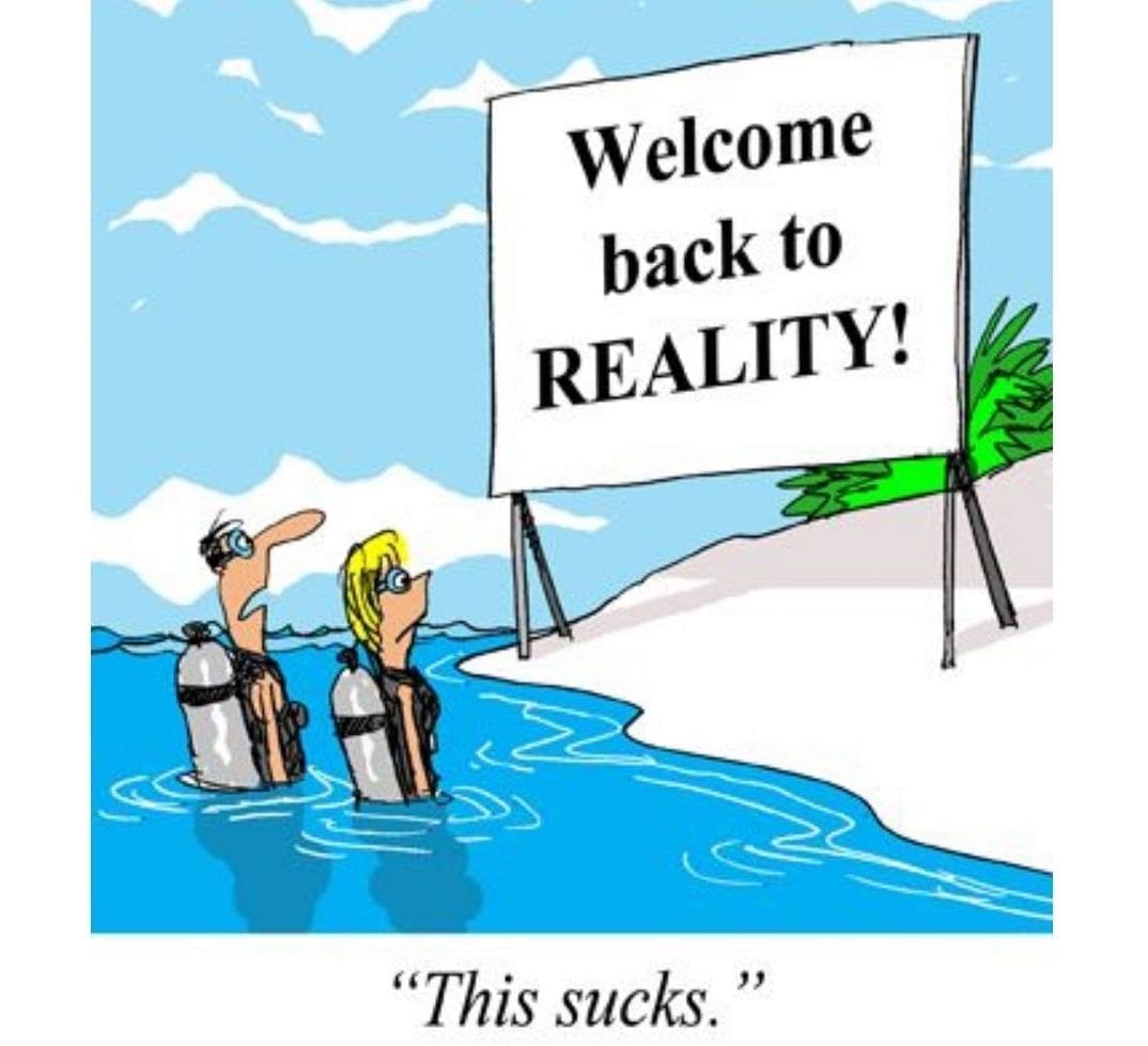 Back to reality scuba diving meme
