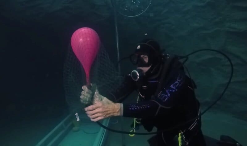 Balloon Pressure Volume Density Scuba Diving