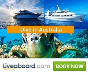 best liveaboards australia