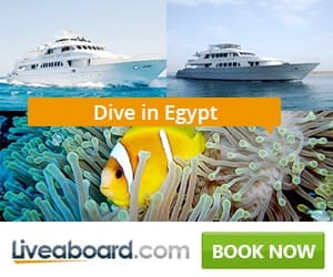 best liveaboards egypt