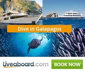 best liveaboards galapagos