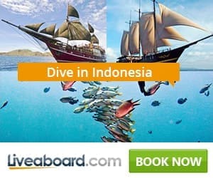 best liveaboards indonesia