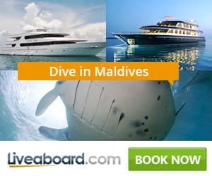 best liveaboards maldives