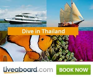 best liveaboards thailand