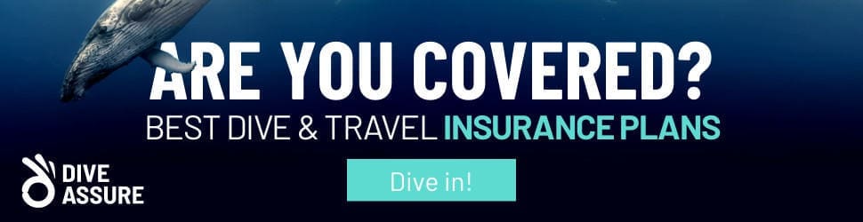 dive and travel insurance