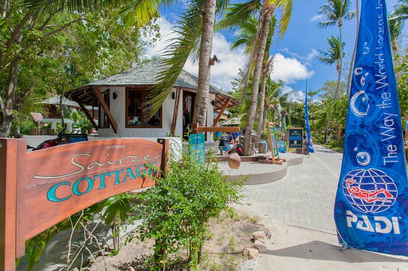 Dive shop owner
