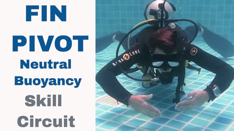 Fin Pivot Skill