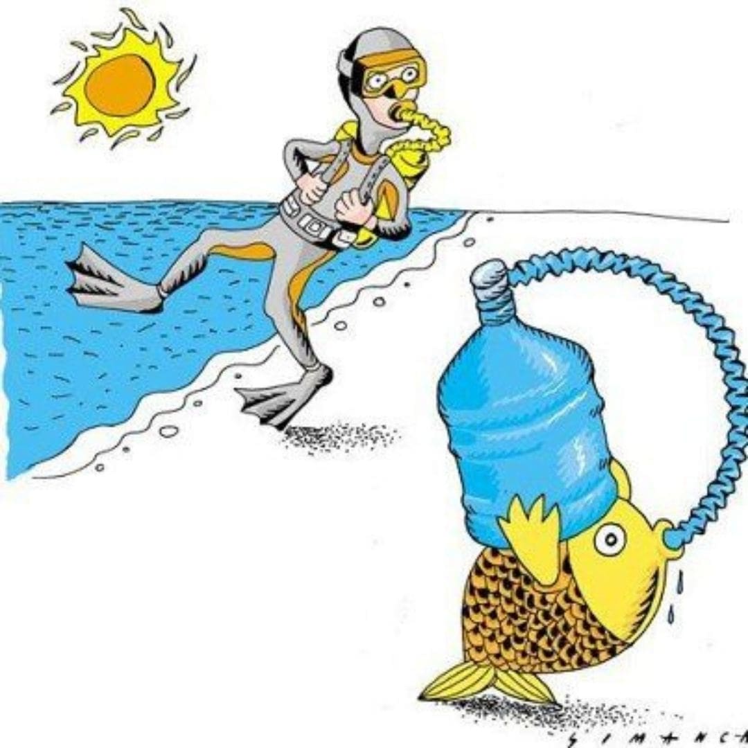 Fish diving land funny scuba diving meme