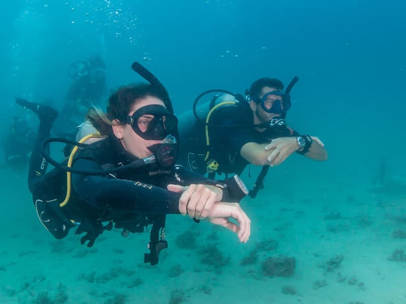 Leading fun divers as a PADI Divemaster