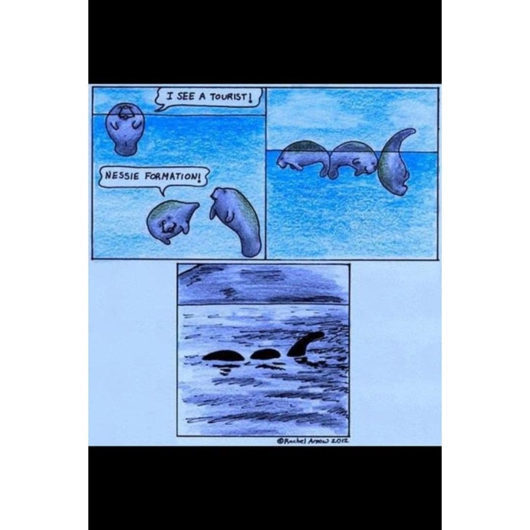 Loch ness monster scuba diving meme