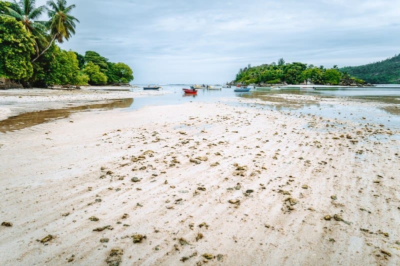 low tide scuba diving PADI Open Water Diver Manual Answers Chapter 3
