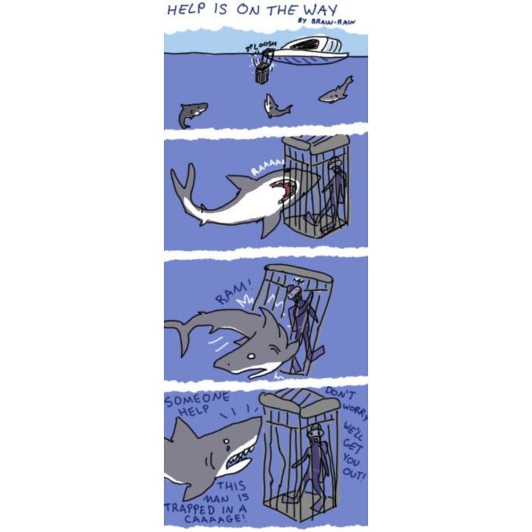 Shark helping scuba diver funny scuba diving meme