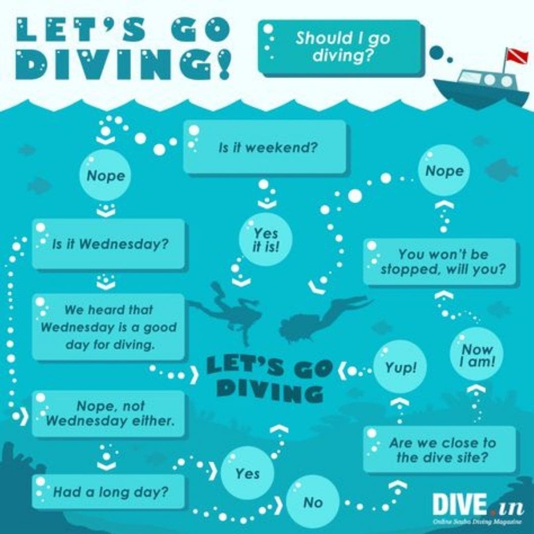 Should I go scuba diving funny scuba diving meme