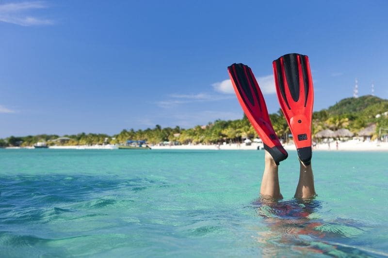 Do you need fins to snorkel