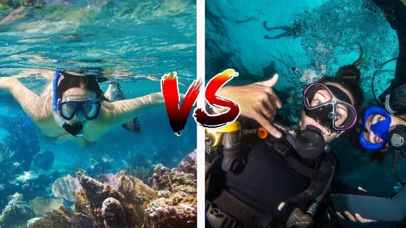 Snorkeling vs Scuba Diving