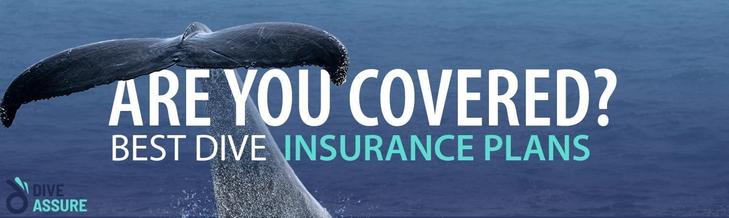 What is Dive Insurance and Why Do You Need It