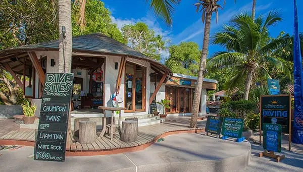 Medium Size Dive Shop One Of The Best