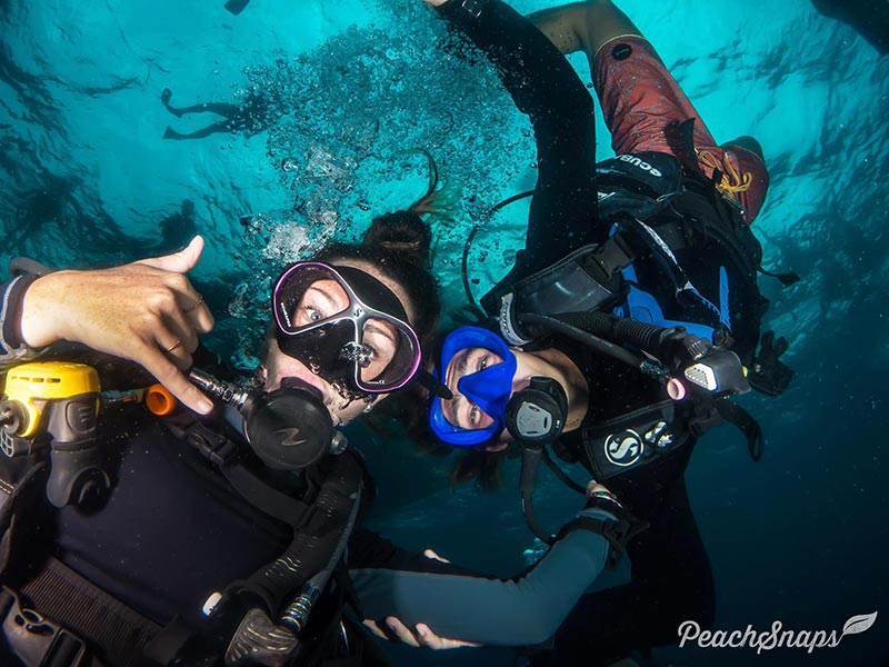 Padi Idc Koh Tao Amazing Diving Instructor Job Opportunities Thailand